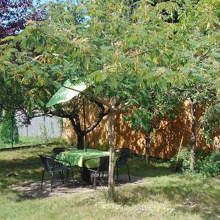 Vitez Apartman Apartament *